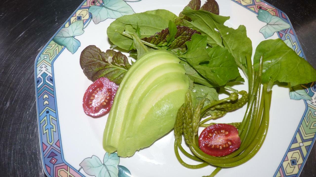 Saint-Christophe Domaine De La Sauge Bed & Breakfast エクステリア 写真